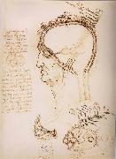 LEONARDO da Vinci Anatomical study of the brain and the scalp Sweden oil painting artist